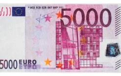 500 Euro-Teppich