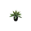 Agave Plastik
