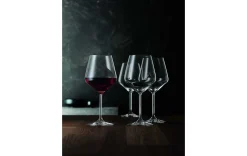 Burgunderglas Set 4 Stk.