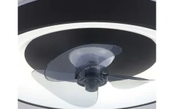 Deckenleuchte mit Ventilator