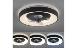 Deckenleuchte mit Ventilator