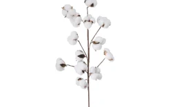 Dekozweig Baumwolle