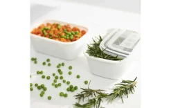 Gefrierdosen Set 2x1,9l