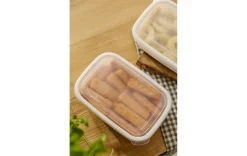 Gefrierdosen Set 2x1,9l