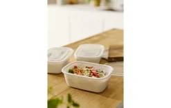 Gefrierdosen-Set 3x1l