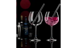 Gin Gläser - 2er Set