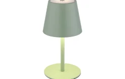 3IN1 LED AKKU-TISCHLEUCHTE