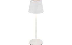 3IN1 LED AKKU-TISCHLEUCHTE