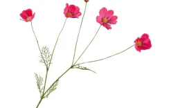 Kunstblumen - Cosmea