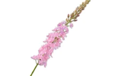 Kunstblumen - Eremurus