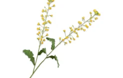 Kunstblumen - Primula