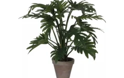 Kunstpflanze - Selloum