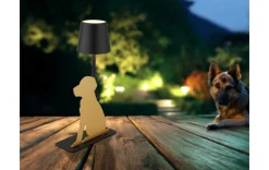 LED Akku Tischleuchte