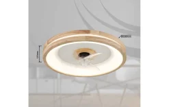 LED Deckenventilator