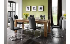 Moderner Freischwinger