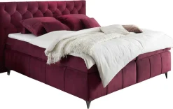 Modernes Boxspringbett