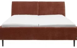 Modernes Polsterbett