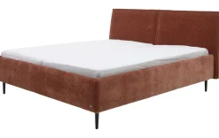 Modernes Polsterbett