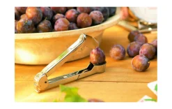 Pflaumensteinentferner