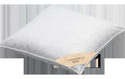 Premium Kissen 70x90cm