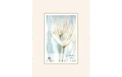 Rahmenloser Bilderhalter 50x70cm