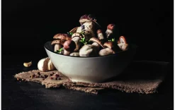 Schüssel oval, 21cm