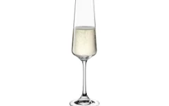 Sekt Glas 220ml