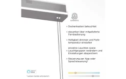 SMART LED Pendelleuchte