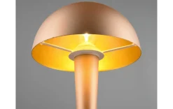 Tischleuchte - Canny