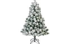 Weihnachtsbaum Kiefer